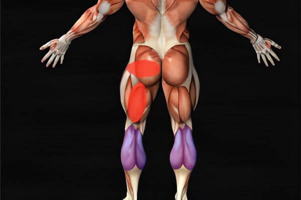 атрофии мышц бедра