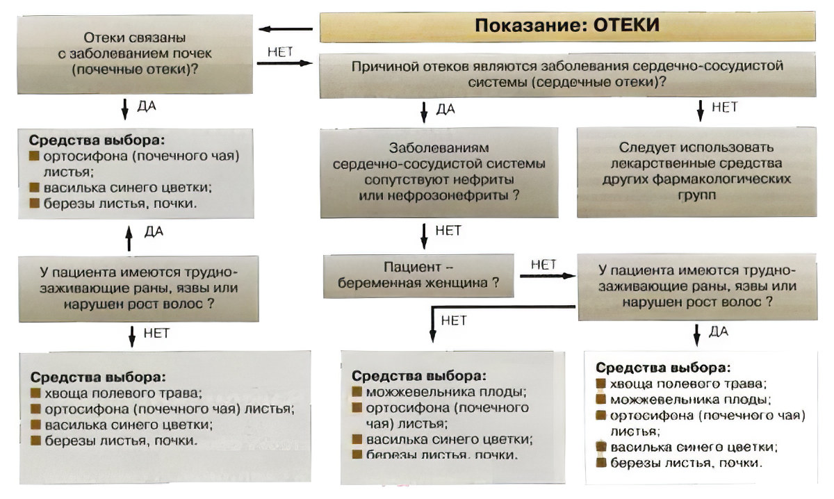 Углеводные Отеки После Диеты