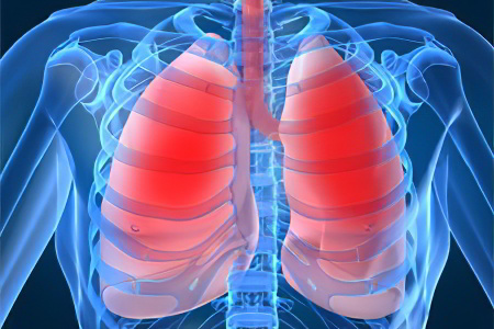 Заболевания органов дыхательной системы