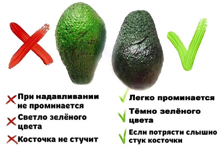 Как выбрать спелый вкусный авокадо