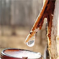 Отзывы о картофеле сорт инара Отзывы о картофеле сорт инара
