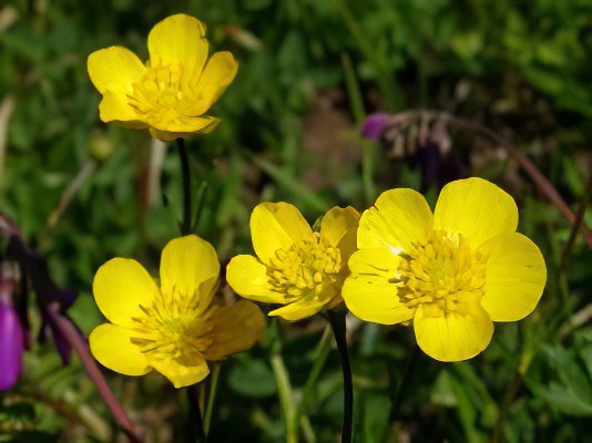 Артрит - эффективное лечение артрита народными средствами и методами