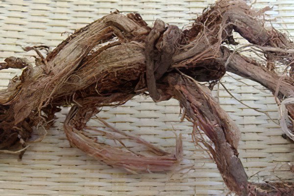 Красный корень Primenenie-krasnogo-korenya