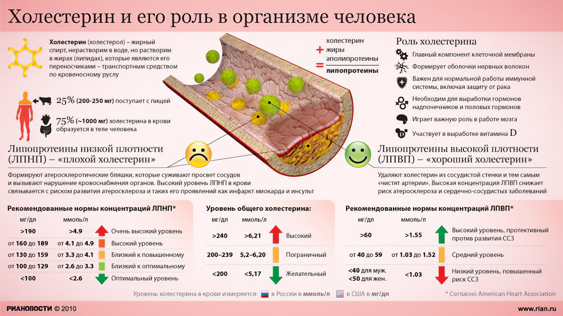 Диета При Лпнп Повышенном