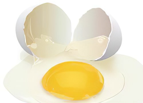 Яйца, как источник белков, минералов и витаминов