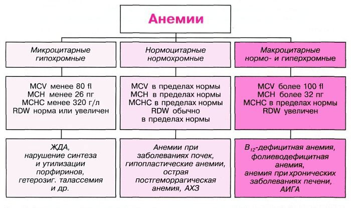 При гиперхромных анемиях применяют следующие препараты thumbnail