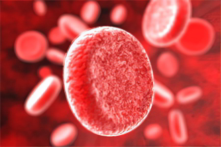 Вид крови при анемии thumbnail