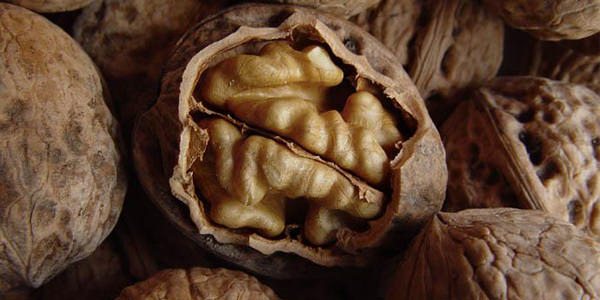 Грецкие орехи польза и вред при онкологии