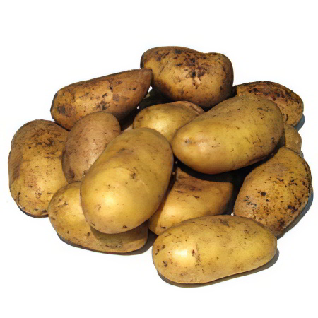 картофель