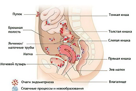 Общие сведения