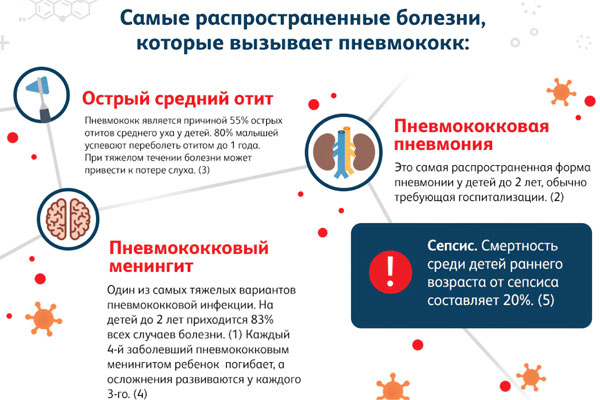 Самые распространенные болезни, которые вызывает пневмококк