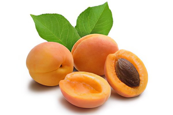 О пользе и вреде абрикос