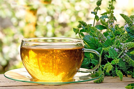 Чай из мяты листьев польза