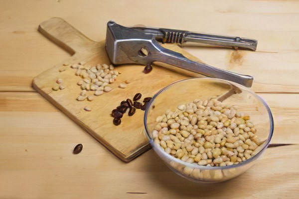 Кедровые орехи в сосновом сиропе польза