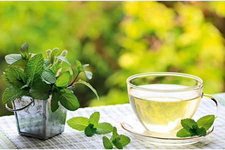 Зеленый чай с мятой и медом польза
