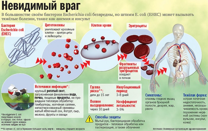 Причины кишечной инфекции