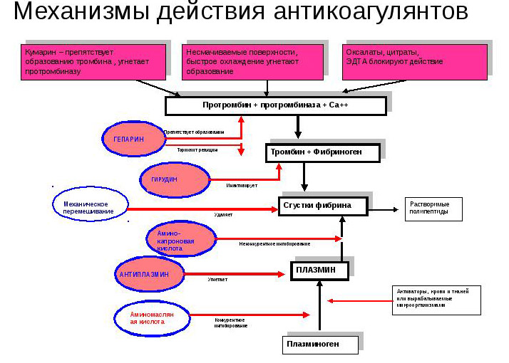 Как работают антикоагулянты