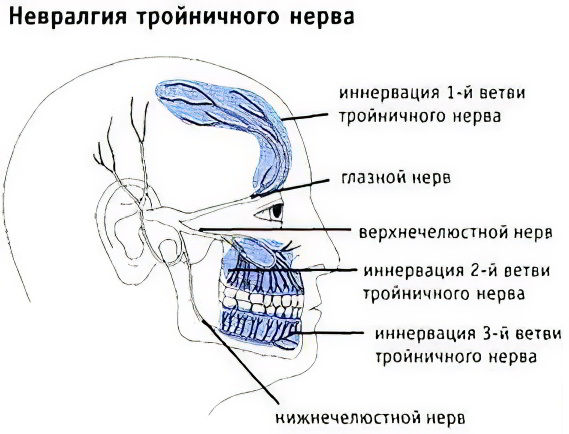 Тройничный нерв