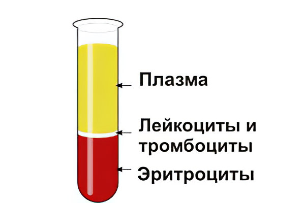 Сколько в норме гематокрит в крови thumbnail