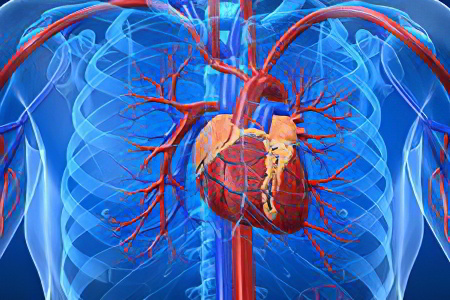 Аневризма аорты сердца после инфаркта thumbnail