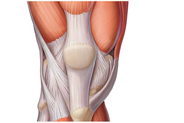 Как вылечить порез сухожилия на ноге thumbnail