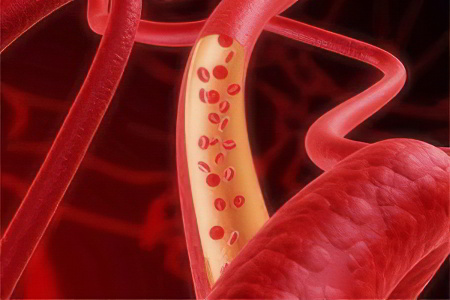Кровеносные сосуды артерии вены лимфатические сосуды thumbnail