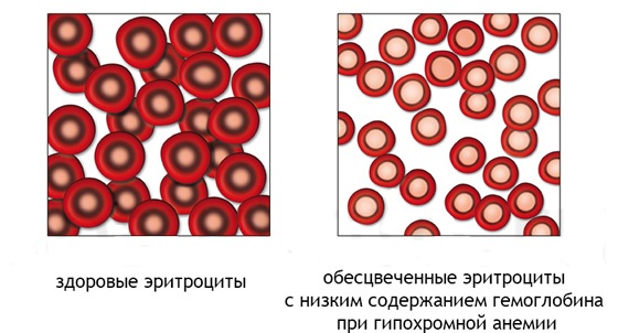 Качественный и количественный анализ