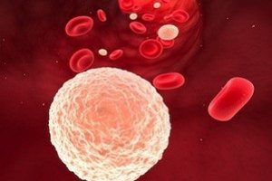 Норма эозинофилов в крови у мужчин после 50 лет thumbnail