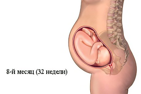 8 месяц беременности