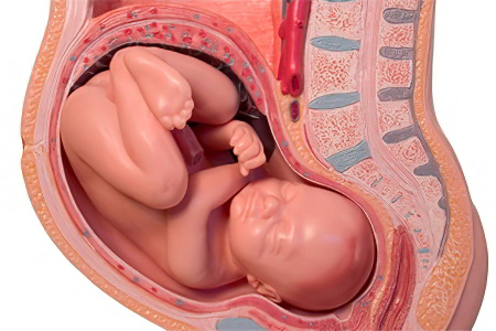 39 неделя беременности тянет поясницу thumbnail