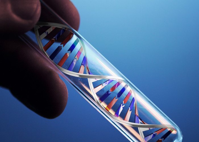 Полиция Вирджинии подделывала ДНК-тесты ради признательных показаний — и это законно [В мире]