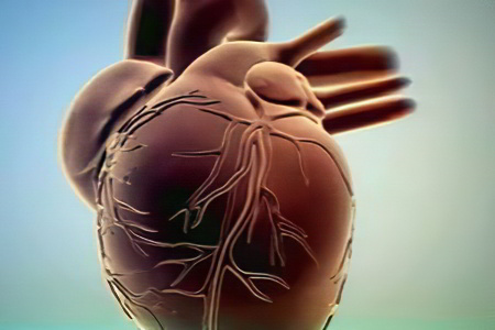 атрофия сердечной мышцы 