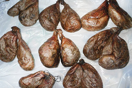 Бобровая струя Бобровая струя