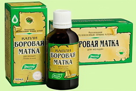 Боровая матка