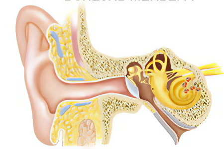 Если проблема в заболеваниях внутреннего уха