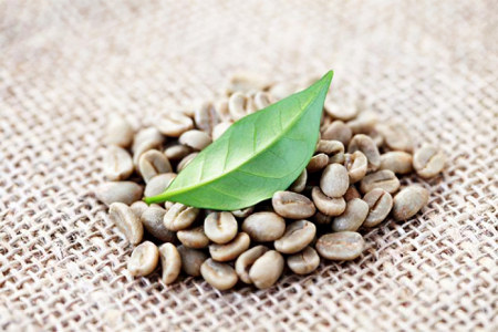 Интересные факты о зелёном кофе