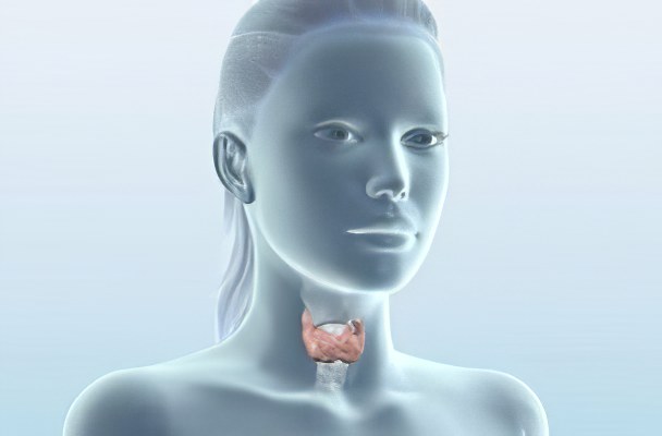 изменение паренхимы щитовидной железы