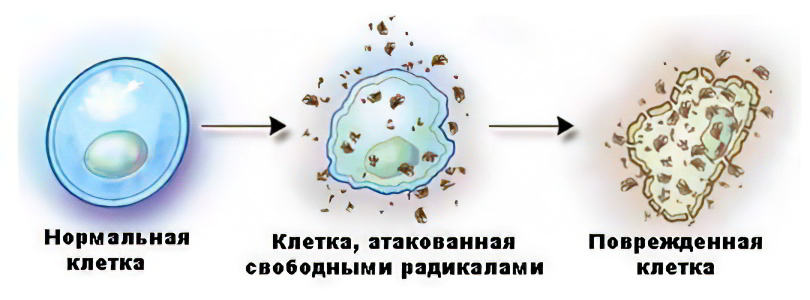 Опасность свободных