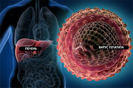 Причины гепатита Б