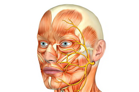 Причины неврита лицевого нерва