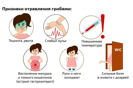 Признаки отравления несъедобными дождевиками