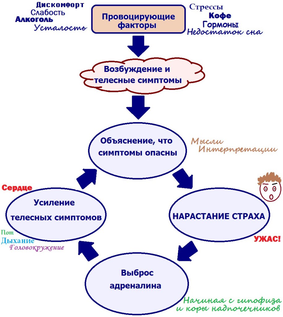 схема возникновения