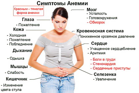 Симптомы анемии 1 степени