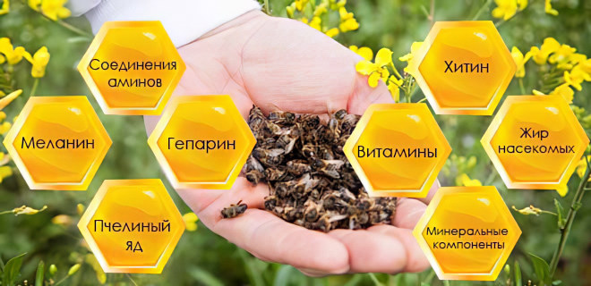 Химический состав пчелиного подмора