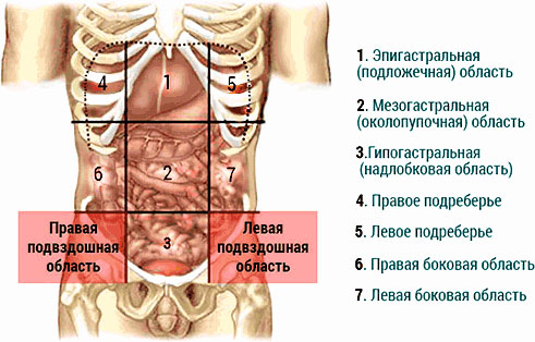 упражнение для живота