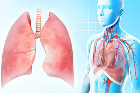 Воспаление лёгких
