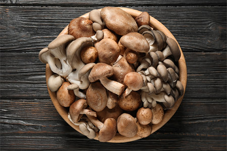 10 доказанных полезных свойств грибов