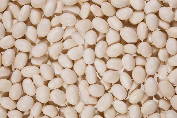 Фасоль белая варёная — химический состав, пищевая ценность