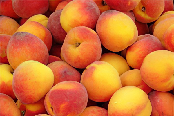 Как правильно выбрать спелый персик