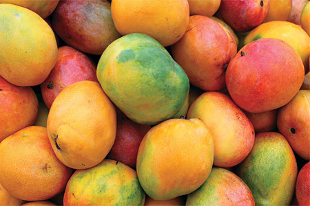 Как выбрать спелый вкусный манго